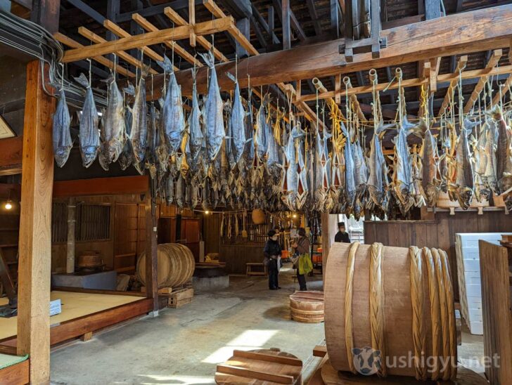 Over 1,000 salmon hanging in the aging room