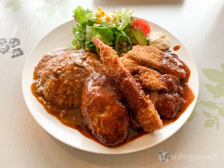 Adult children's meal - Turkish Rice