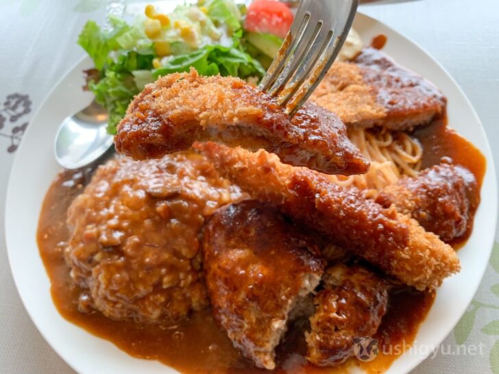 Thin-sliced cutlet from the Triple Turkish Rice