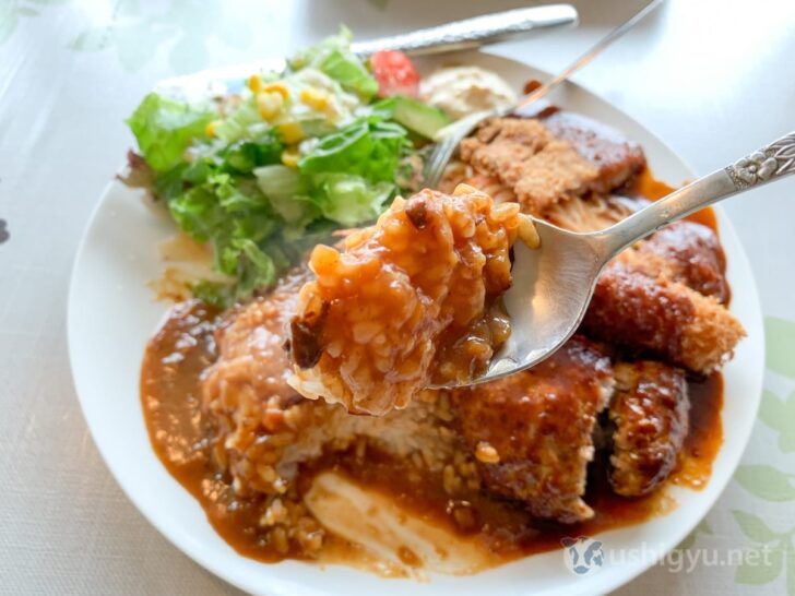 Curry from the Triple Turkish Rice