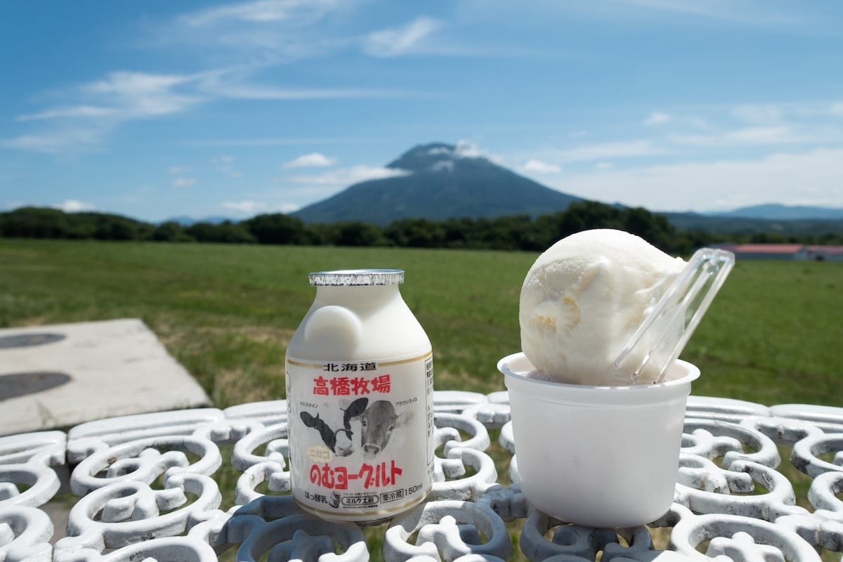 Irresistible experience of eating creamy dairy products surrounded by spectacular mountain scenery
