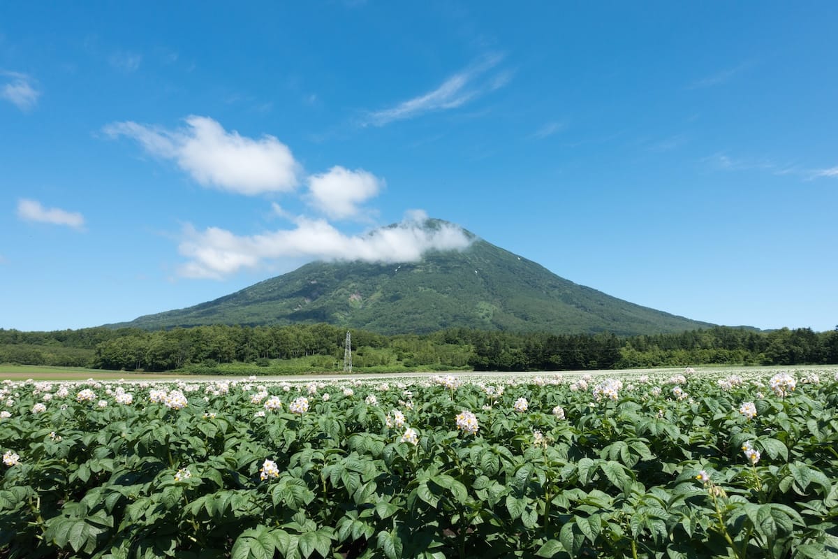 Magnificent scenery along the route to Takahashi Farm