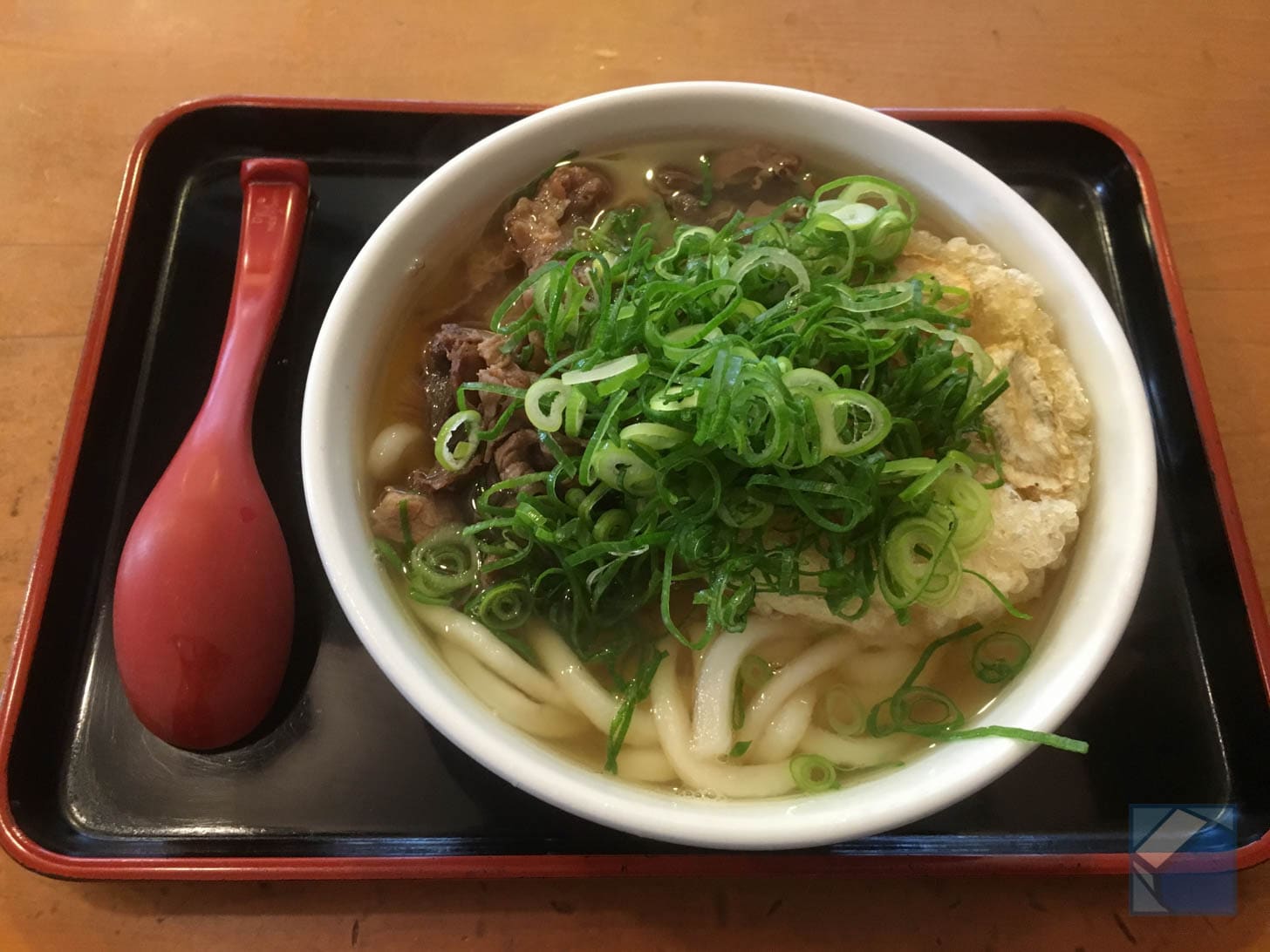 Niku-gobō-ten udon with extra green onions