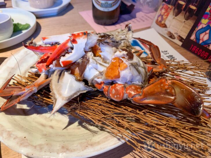 Female crab with orange roe