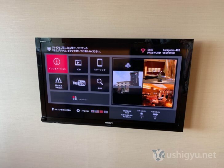 Wall-mounted TV with limited streaming options