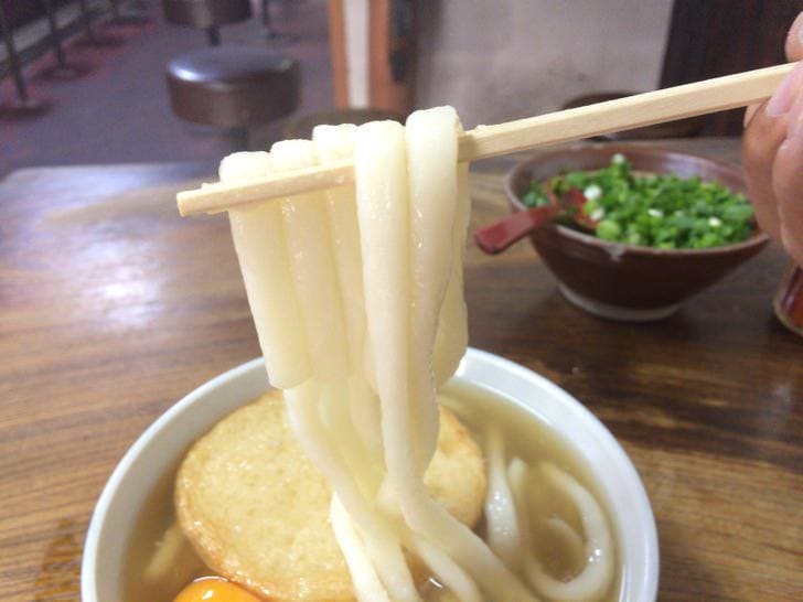 Close-up of thick Hakata-style udon noodles