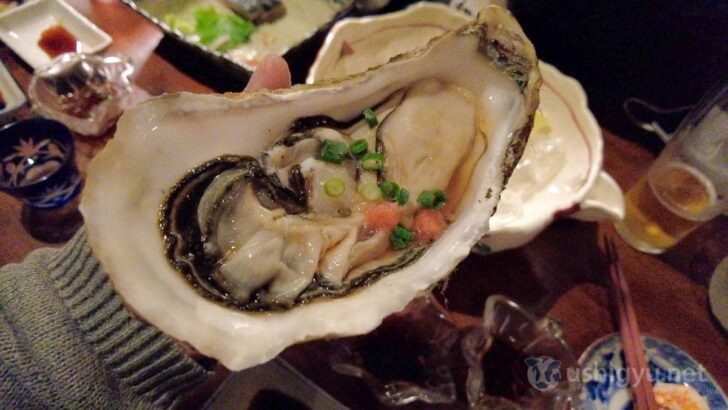 Blissful oyster indulgence