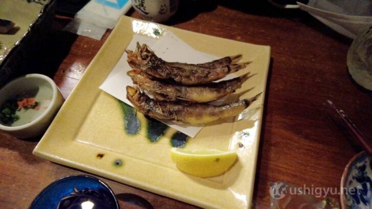 Crispy fried mehikari, perfect with sake