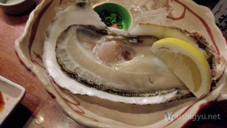 My wife joined me in enjoying the oysters