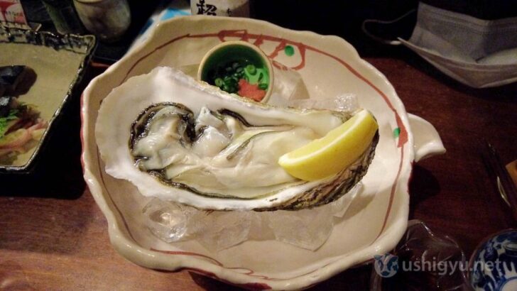 Huge oysters, over twice the usual size