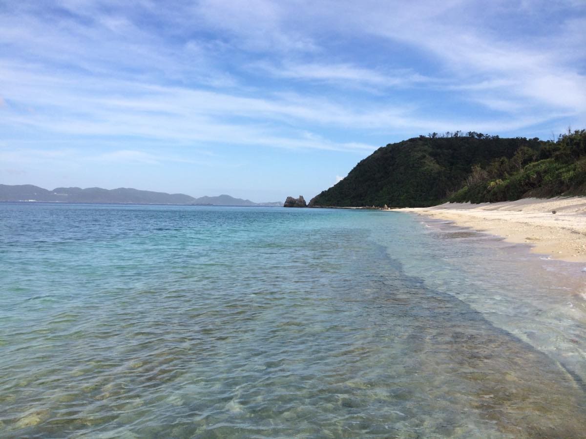 Tropical fish underwater while snorkeling