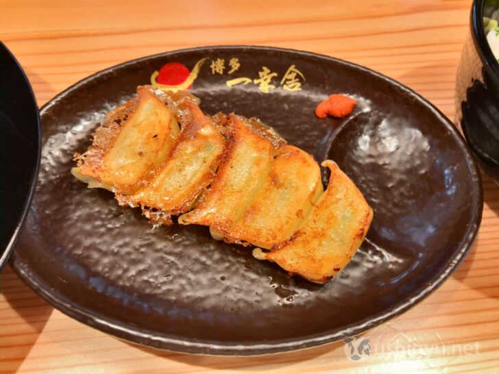 Bite-size gyoza