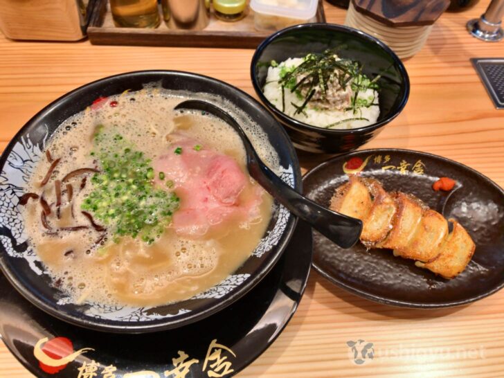 Char-mayo rice bowl and gyoza set