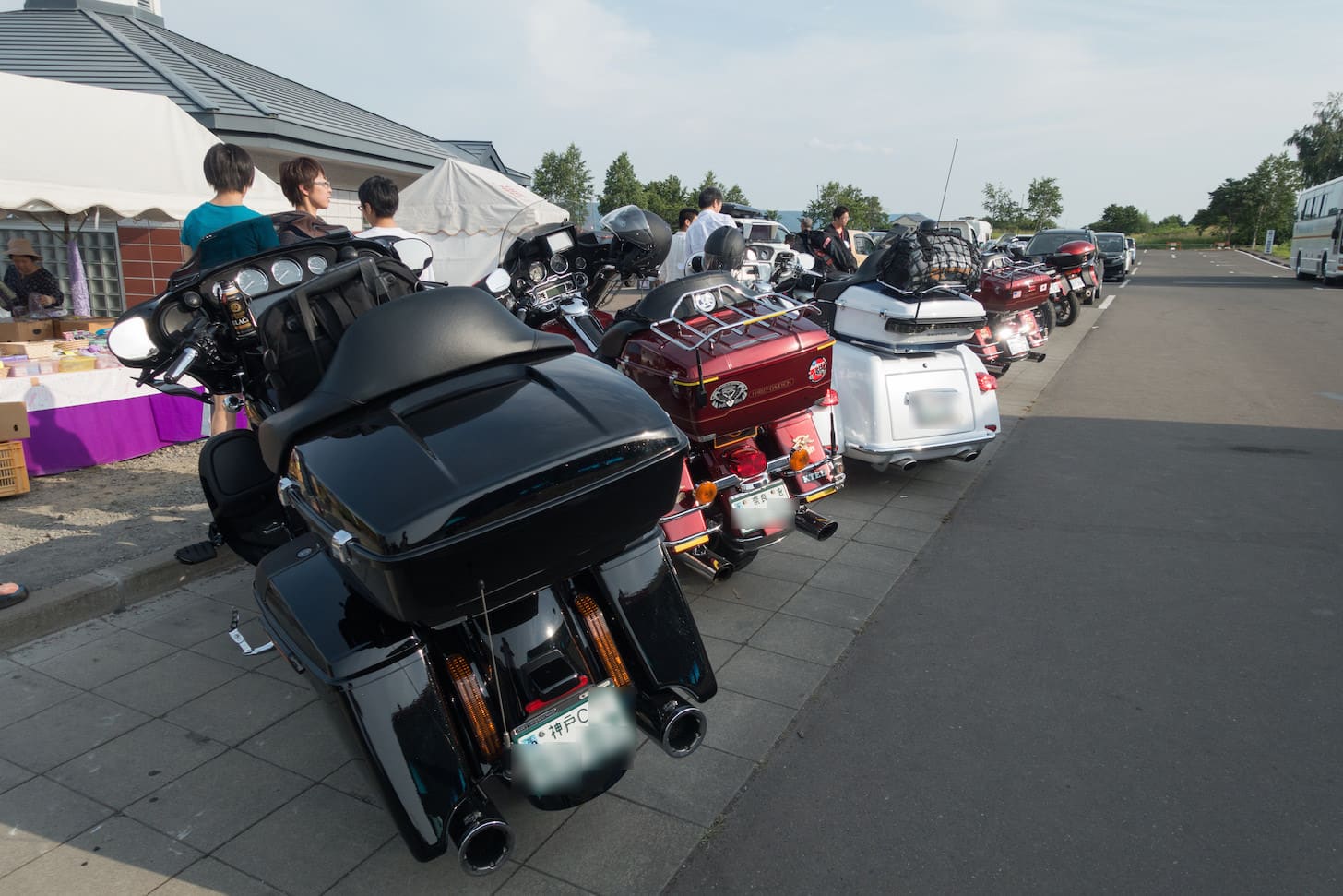 Touring bikes at Farm Tomita