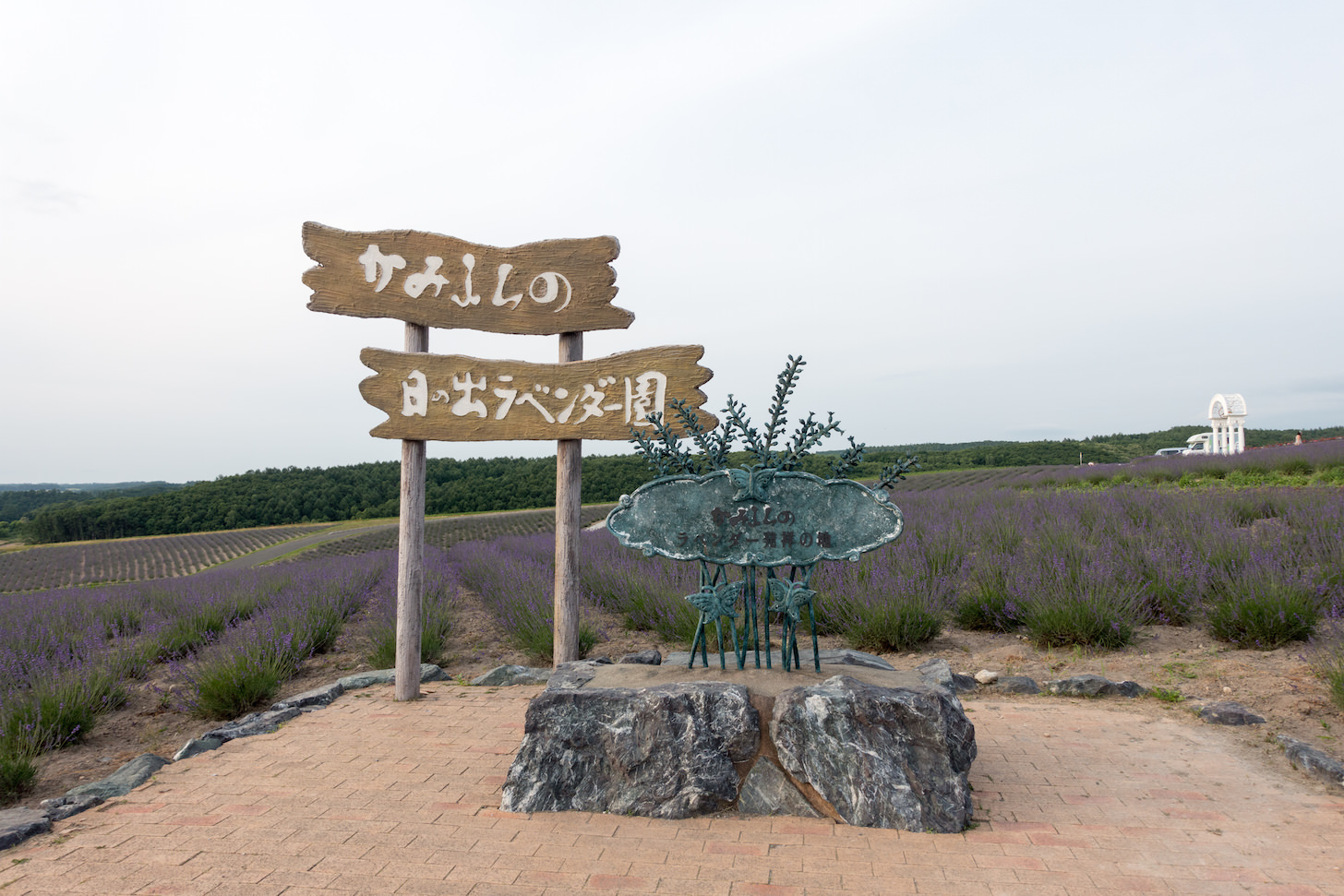 Sunrise Lavender Garden hilltop view