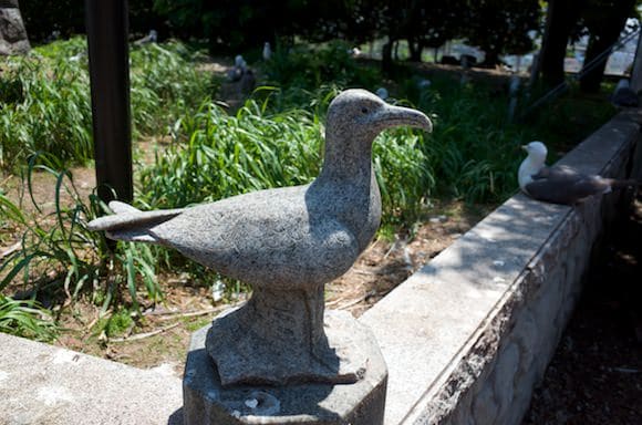 Gull serving as shrine guardian