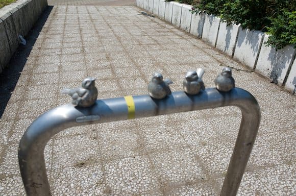 Gulls lining the fence