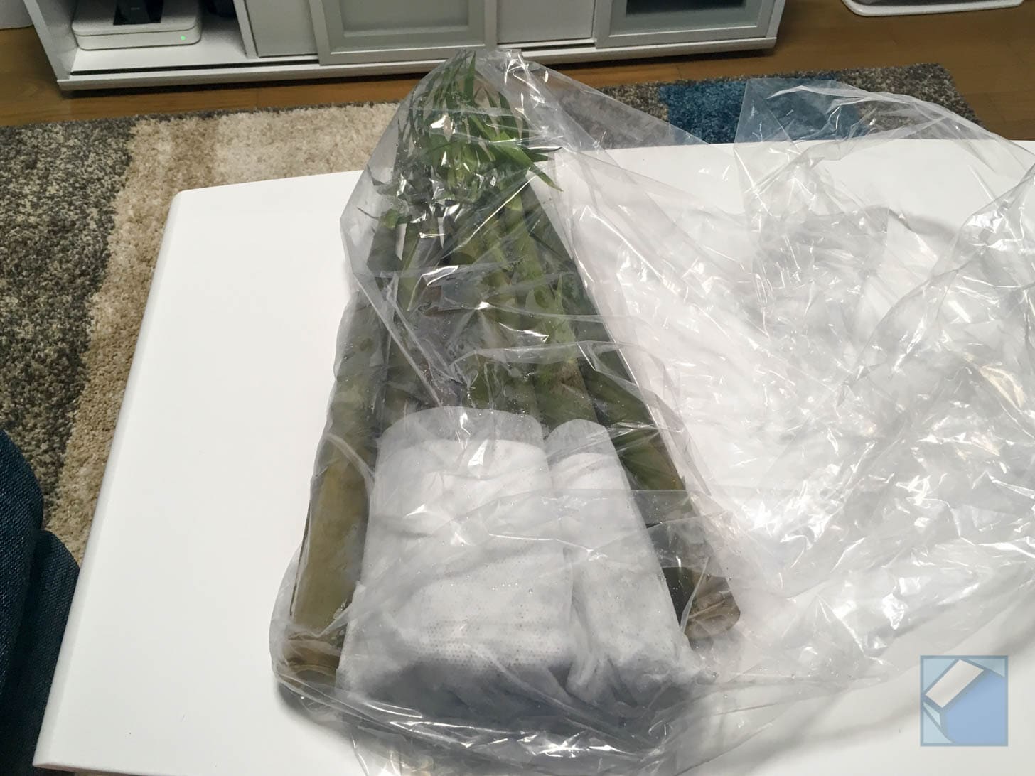 Fresh daimyo takenoko delivered from Takeshima