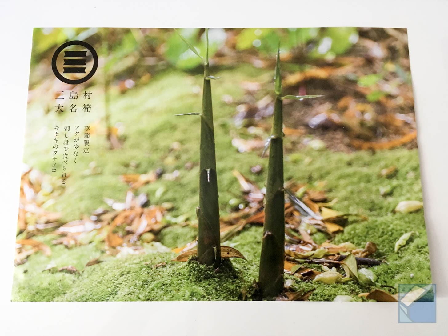 Fresh daimyo takenoko exterior preparation