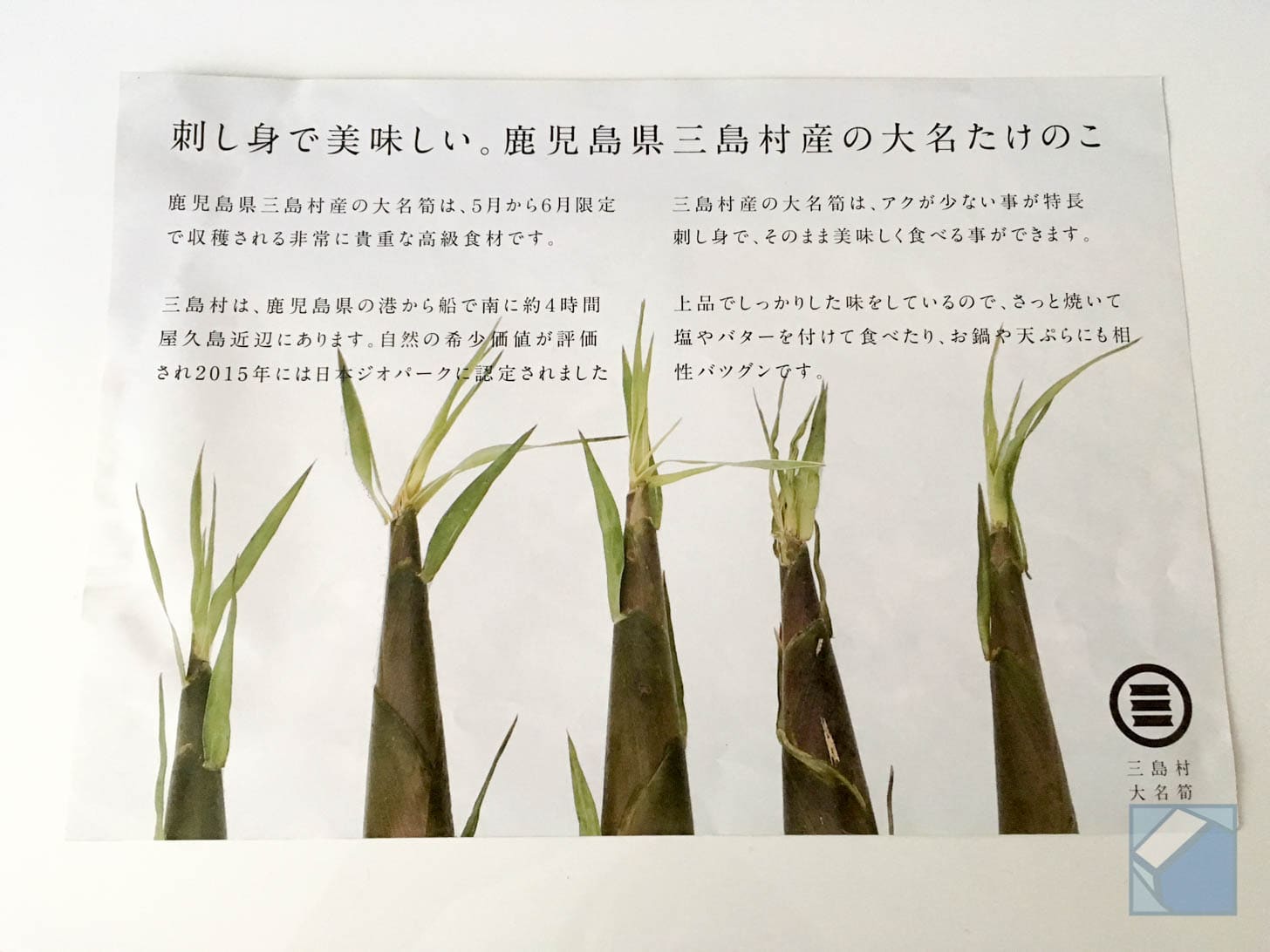 Daimyo takenoko cross-section showing quality