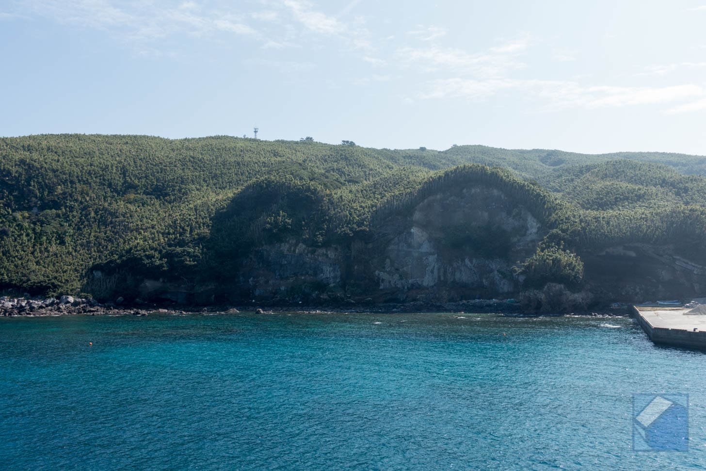 Takeshima Island completely covered in bamboo forest