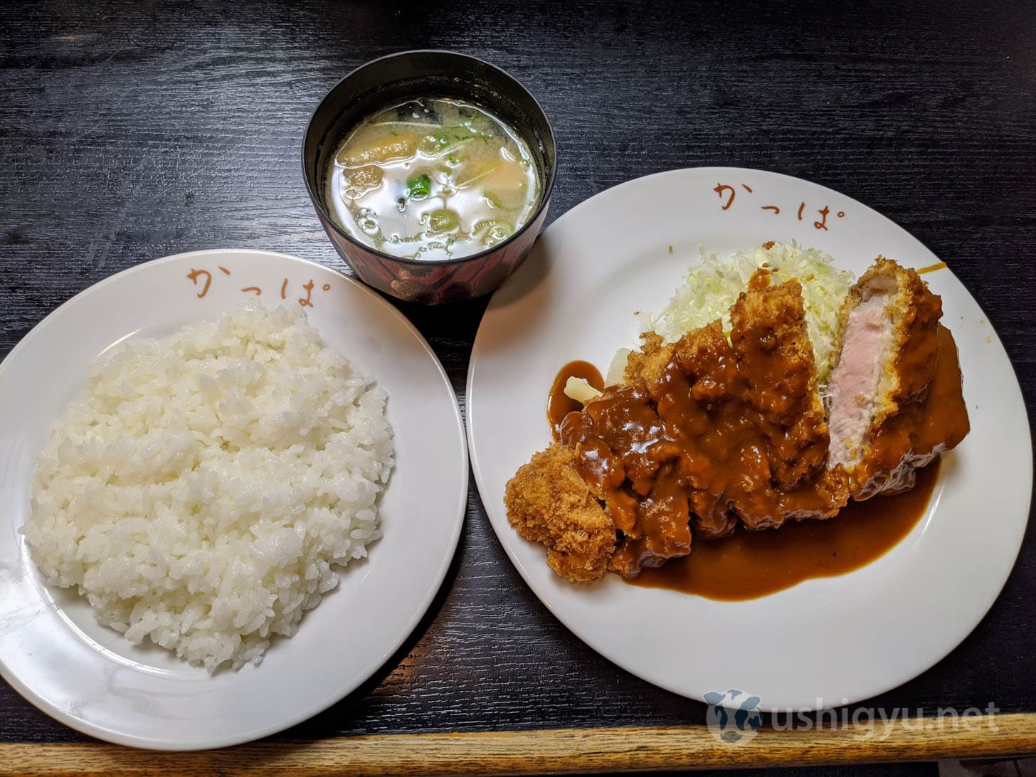 Kurashiki Kappa's Demi Katsu