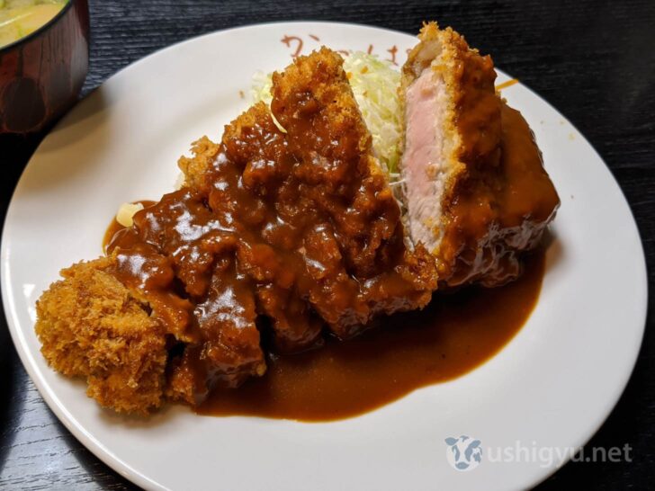 Freshly fried katsu with demi-glace sauce is undoubtedly delicious