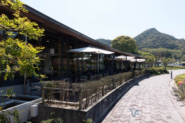 Starbucks terrace seating area