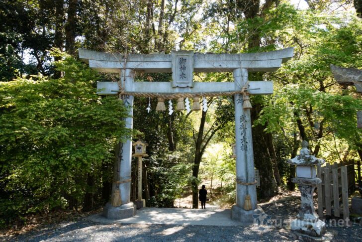 Passing through torii gate inscribed Sacred Tree
