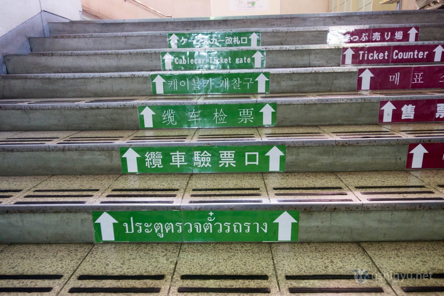 Multilingual directional signage