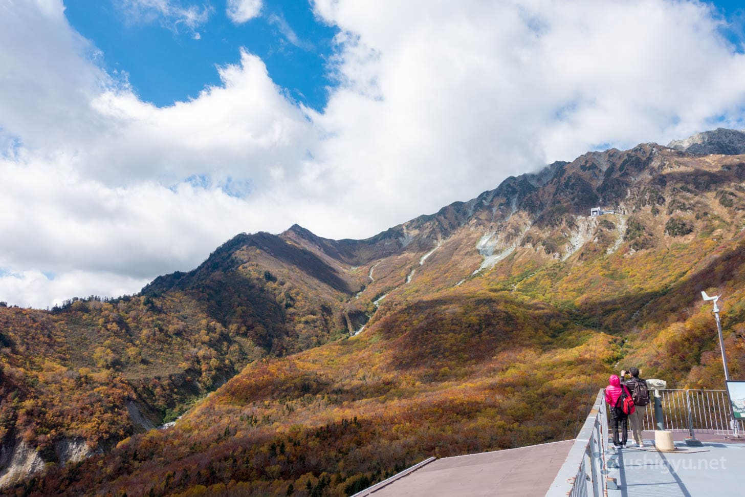 Autumn color gradient across mountain slopes