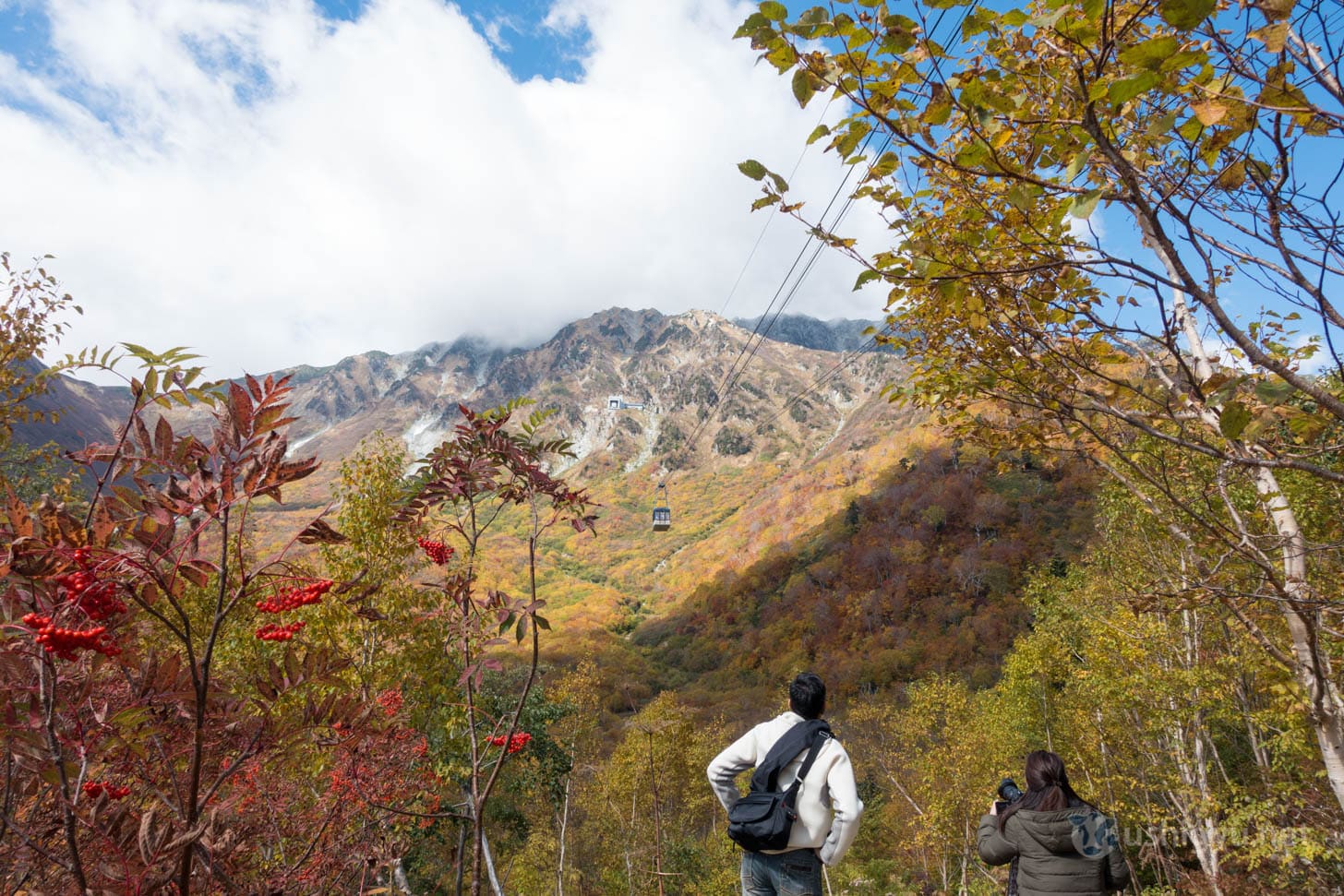 Ropeway overhead viewed from Kurobe Daira platform