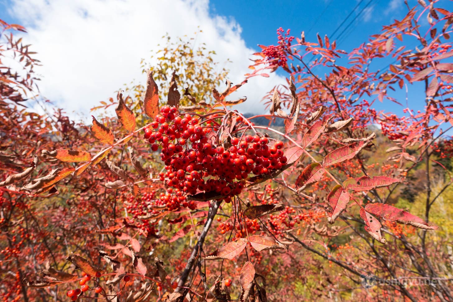 Majestic alpine panorama