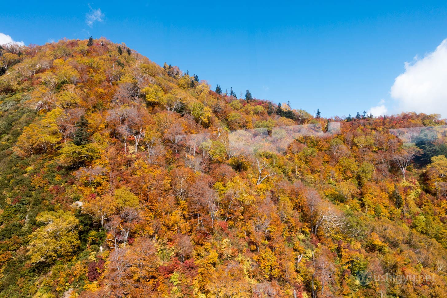 Ropeway ascending toward Daikaenbou