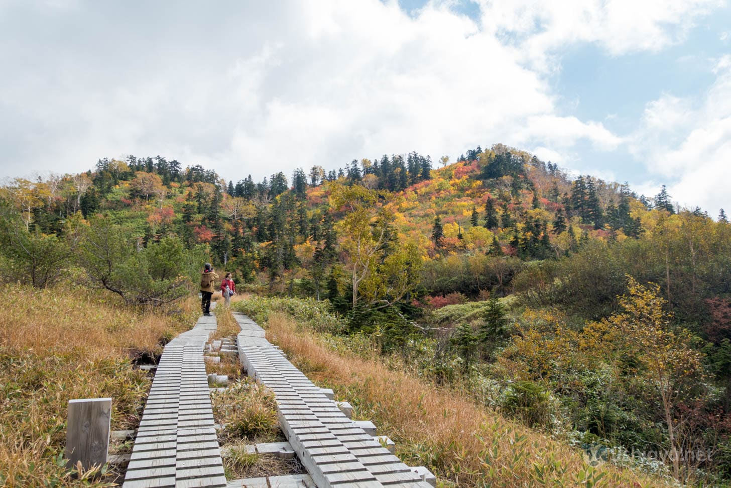 Returning from Midagahara trail