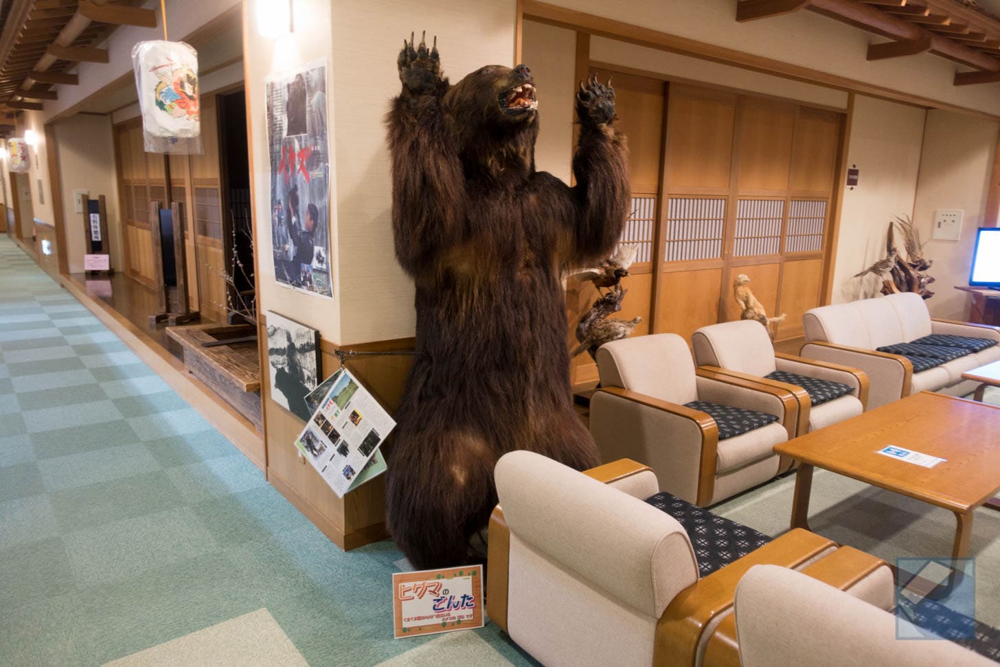 Brown bear taxidermy named Gonta