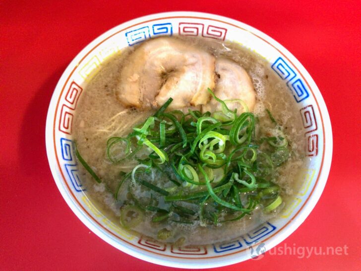 Ramen toppings - chashu and green onions