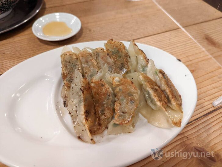 Hakata Daruma Main Branch gyoza