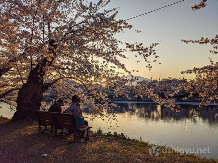 View of Mt. Iwaki and sunset beyond moat