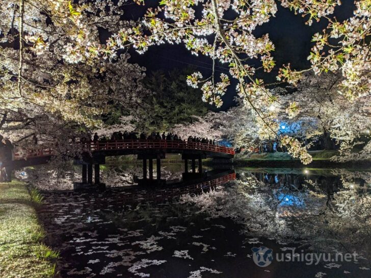 Reaching Shunyo Bridge after going around Nishi-bori