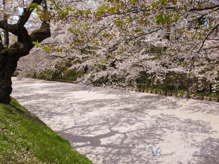 Emotion when seeing on site cannot be expressed in words