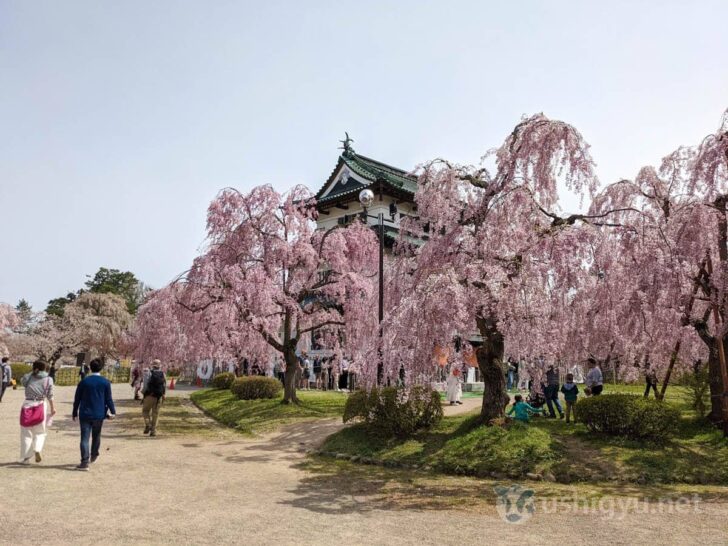 Arrived at Hirosaki Castle