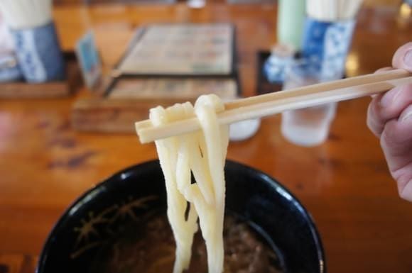 Close-up of meat udon noodles